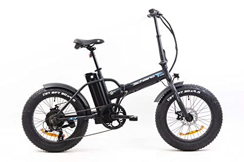 F.lli Schiano Unisex Adult E-Boss E-Bike, Black, 20 Inch