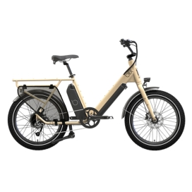 blix dubbel utility e-bike