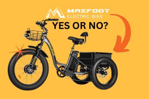 Maxfoot Electric Bikes