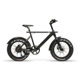 wing bikes freedom fatty 2